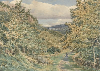 A Road near Bettws-y-Coed by George Price Boyce